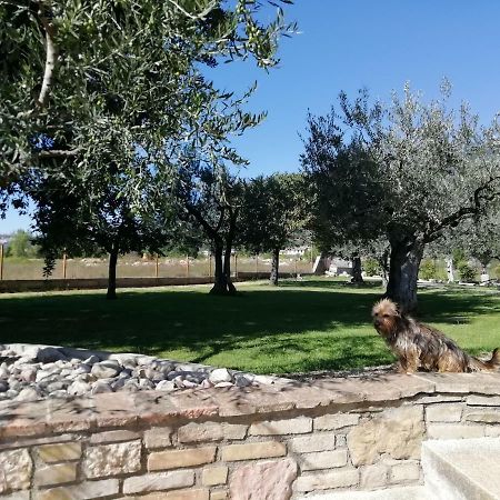 Apartamento La Lanterna Di Lanfo Asís Exterior foto